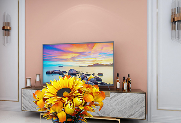 硅藻泥價格貴，我依然選擇