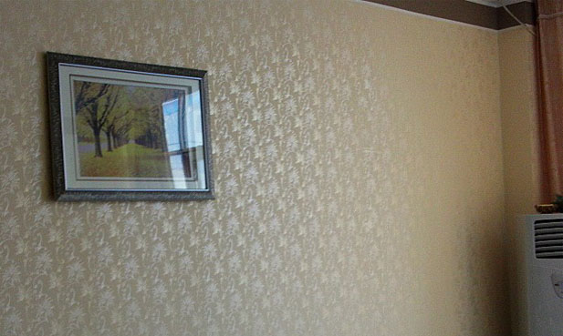 為什么選擇加盟蒙太奇液體壁紙涂料 ？