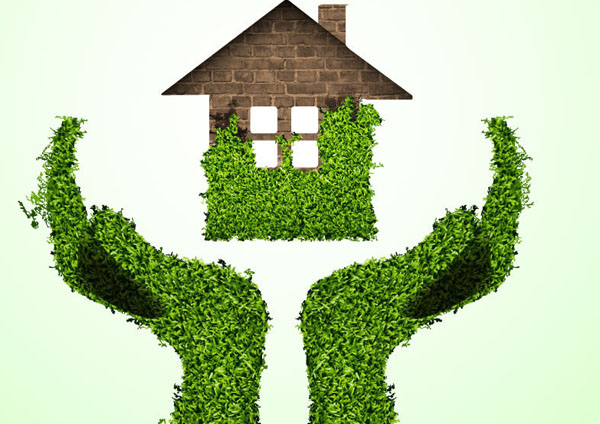 硅藻泥“火”了就憑這三點！